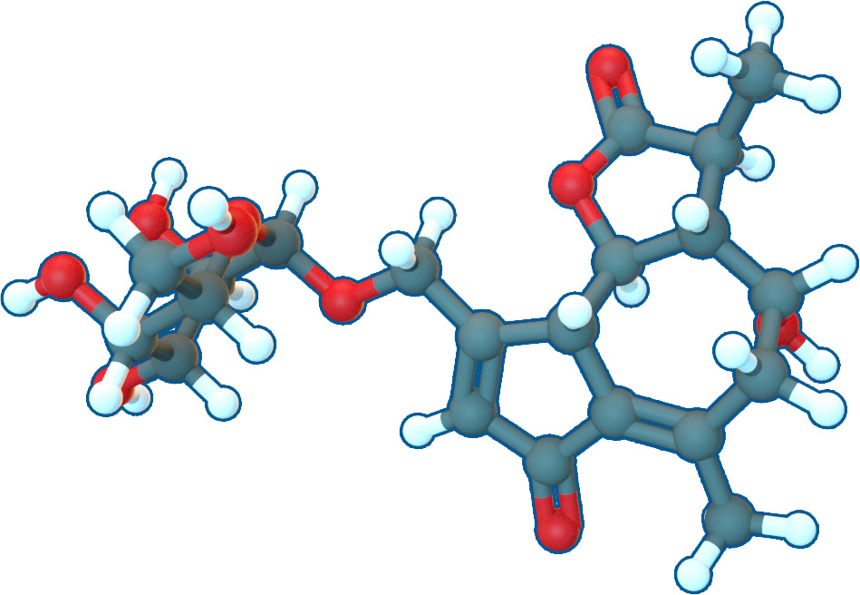 Image of Cichorioside B | C21H28O10 | Supreme Pharmatech
